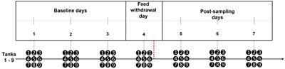 Qualitative Behavioural Assessment as a welfare indicator for farmed Atlantic salmon (Salmo salar) in response to a stressful challenge